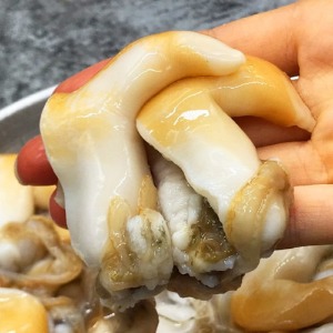[단독센터] 손질 노랑새조개 2.5kg