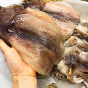 [동해센터] 정품 반건조 오징어 중 10미